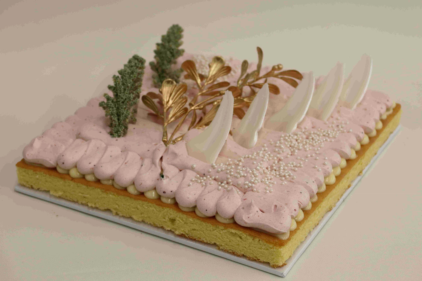 Square Strby Flat Cake