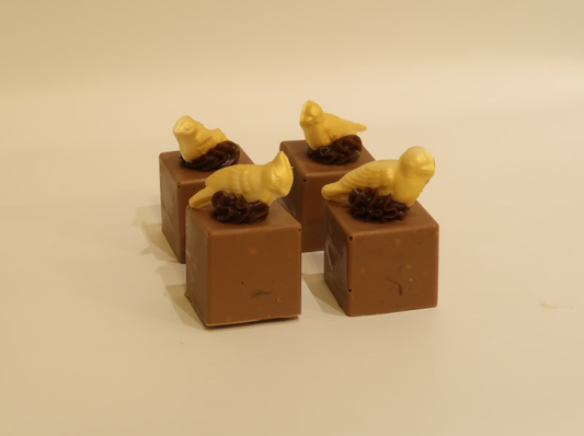 Choc Squares Halva/Caramel