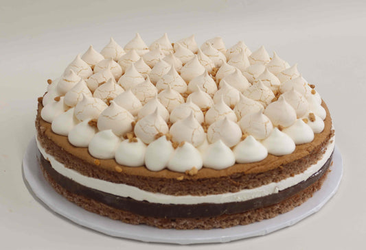 Choc Meringue Acetate Cake