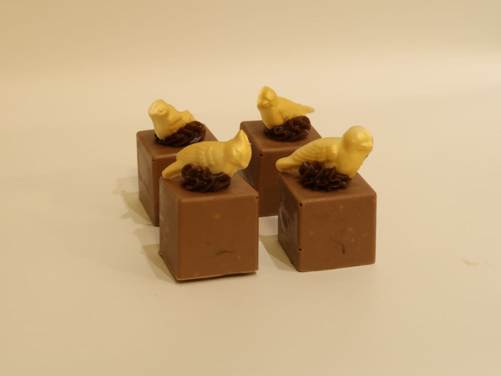 Milk Chocolate Squares